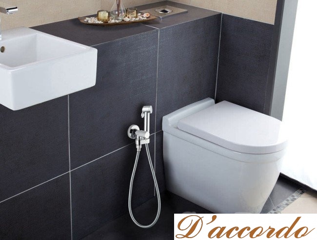 картинка Гигиенический душ Bossini Paloma E37011B от магазина D'accordo