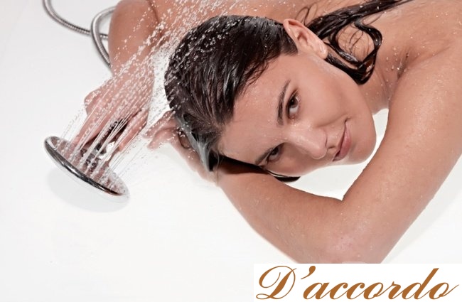 картинка Ручной душ Bossini Agua Life B00176 от магазина D'accordo